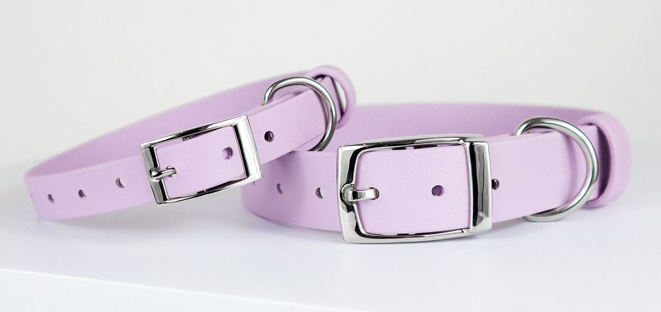 What type of dog collars are best?