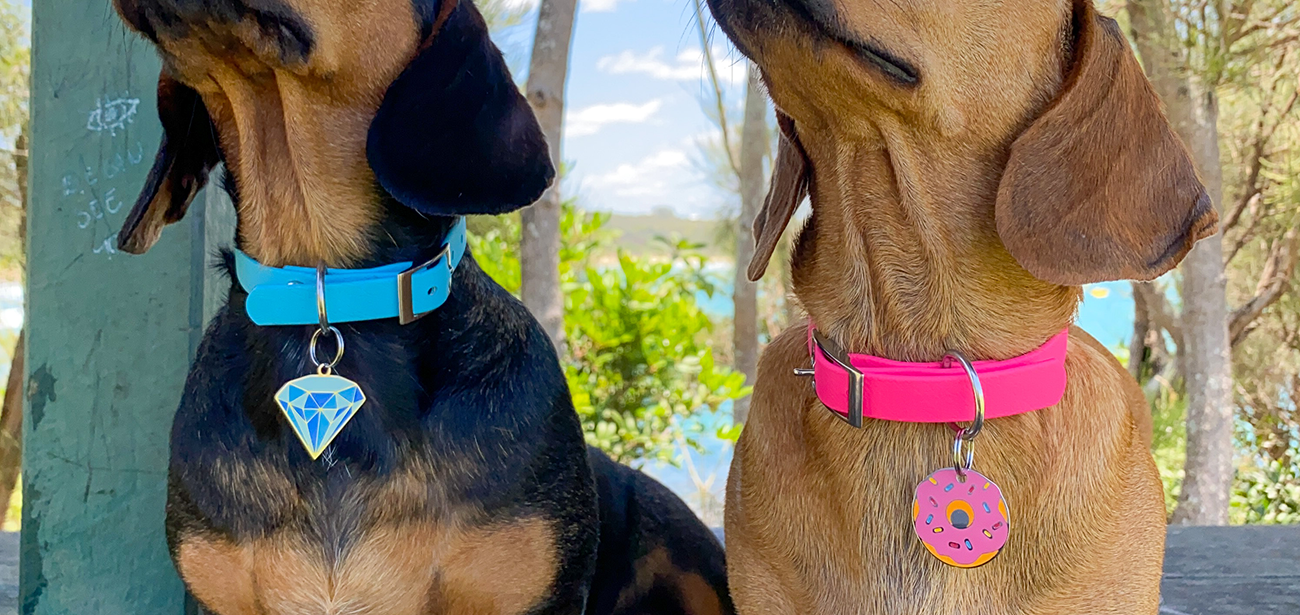 What are the different types of dog name tags?