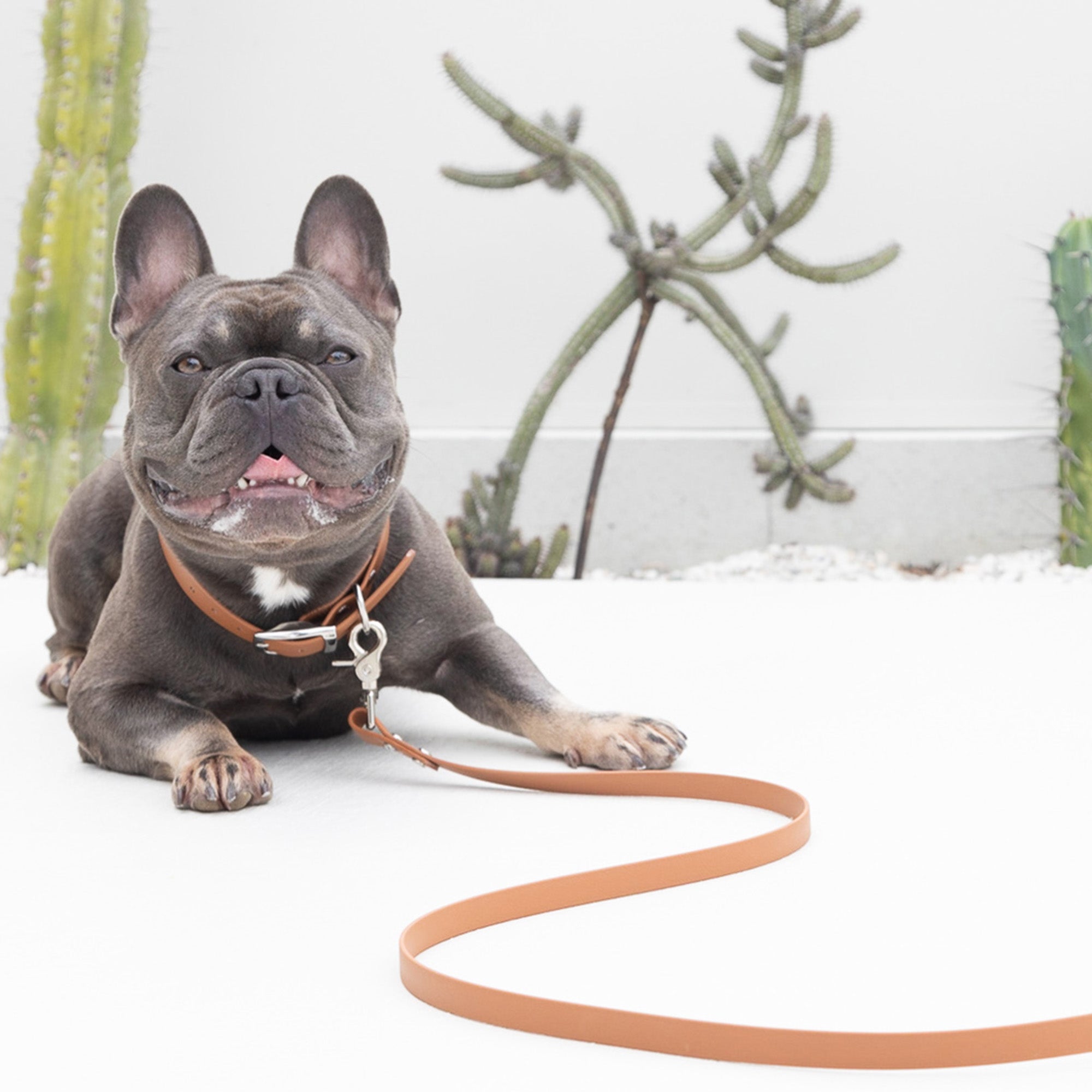 Waterproof Dog Lead in Tan