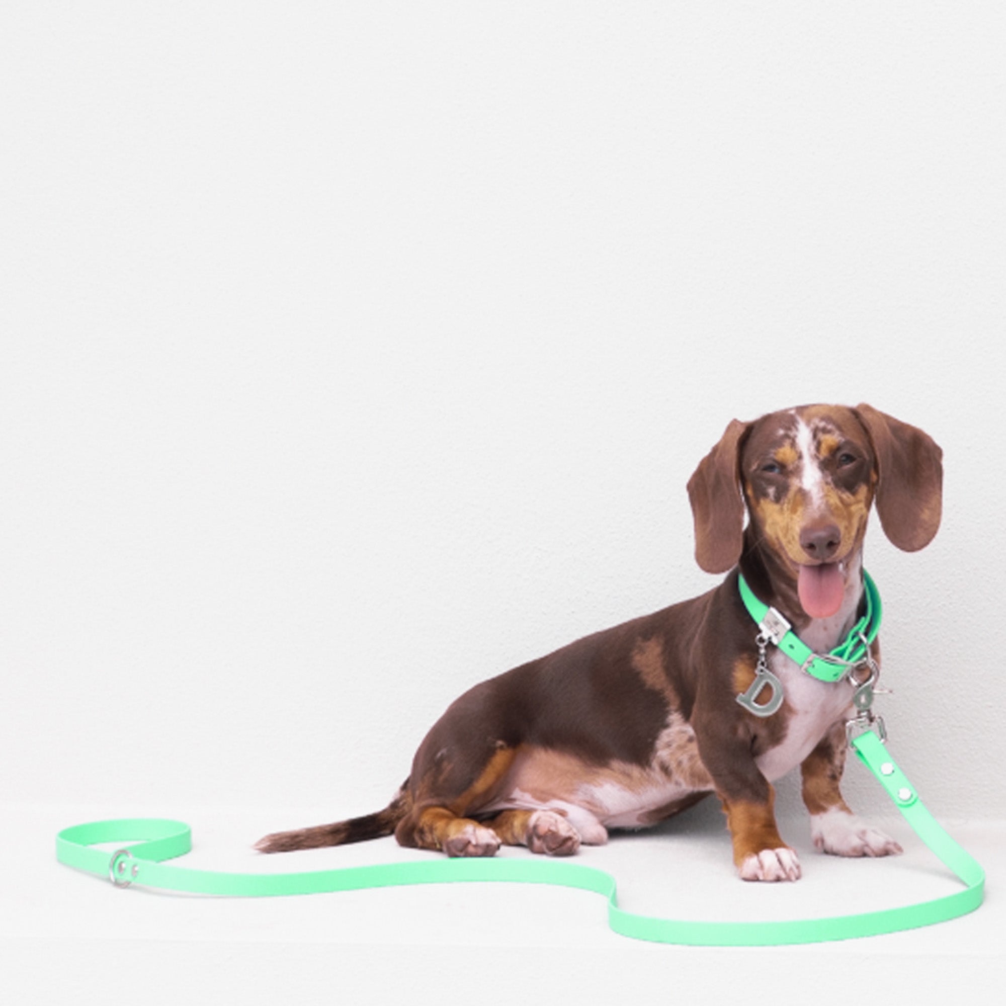 Waterproof Dog Lead in Mint Green