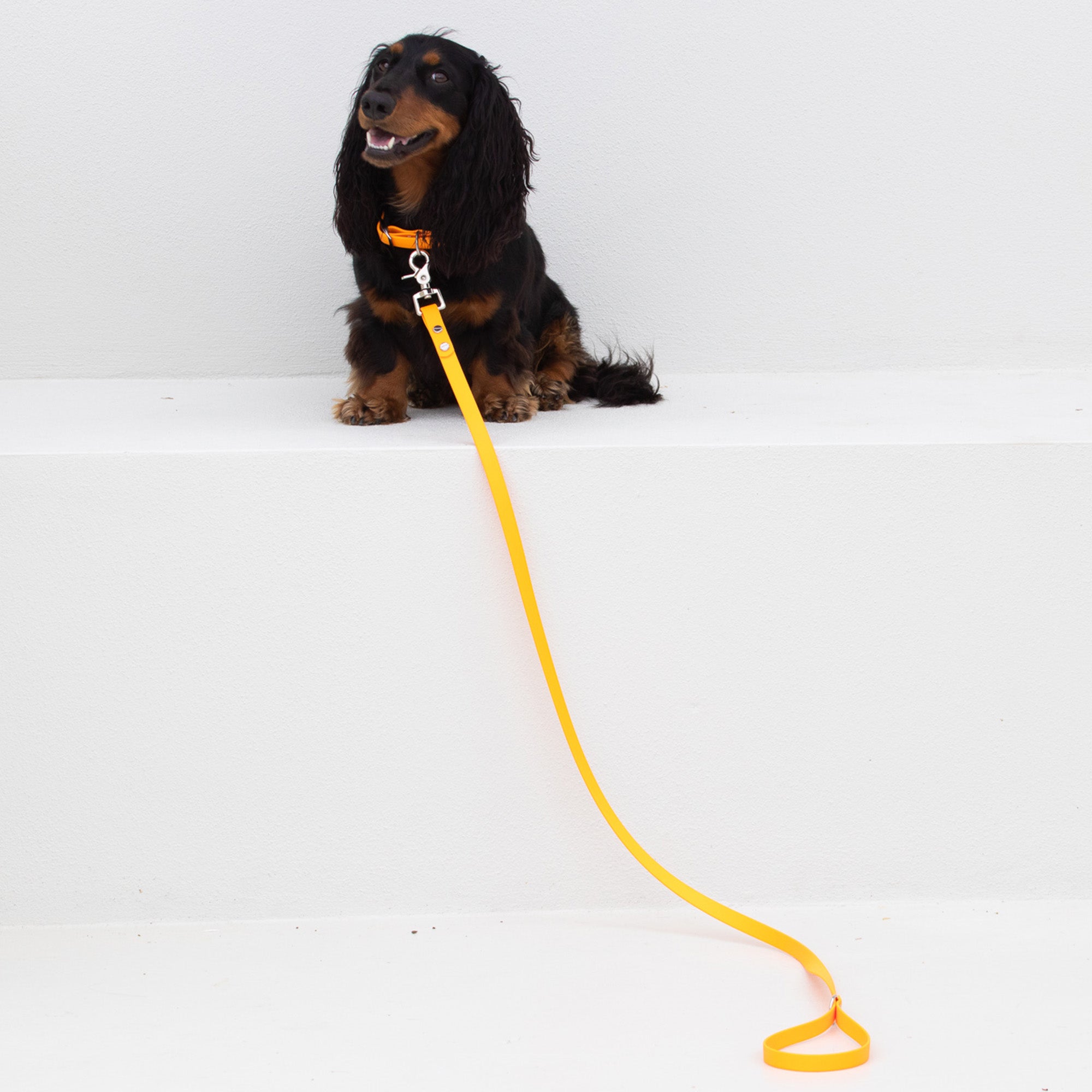 Waterproof Dog Lead in Orange