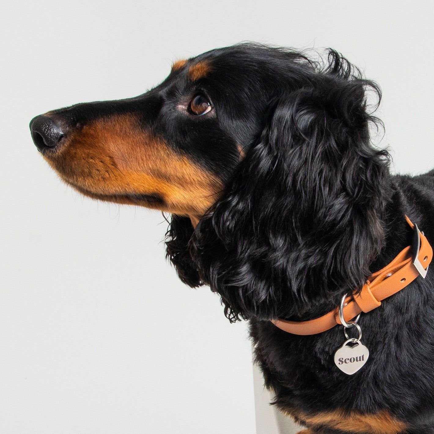 Heart Personalised Pet Tag in Silver