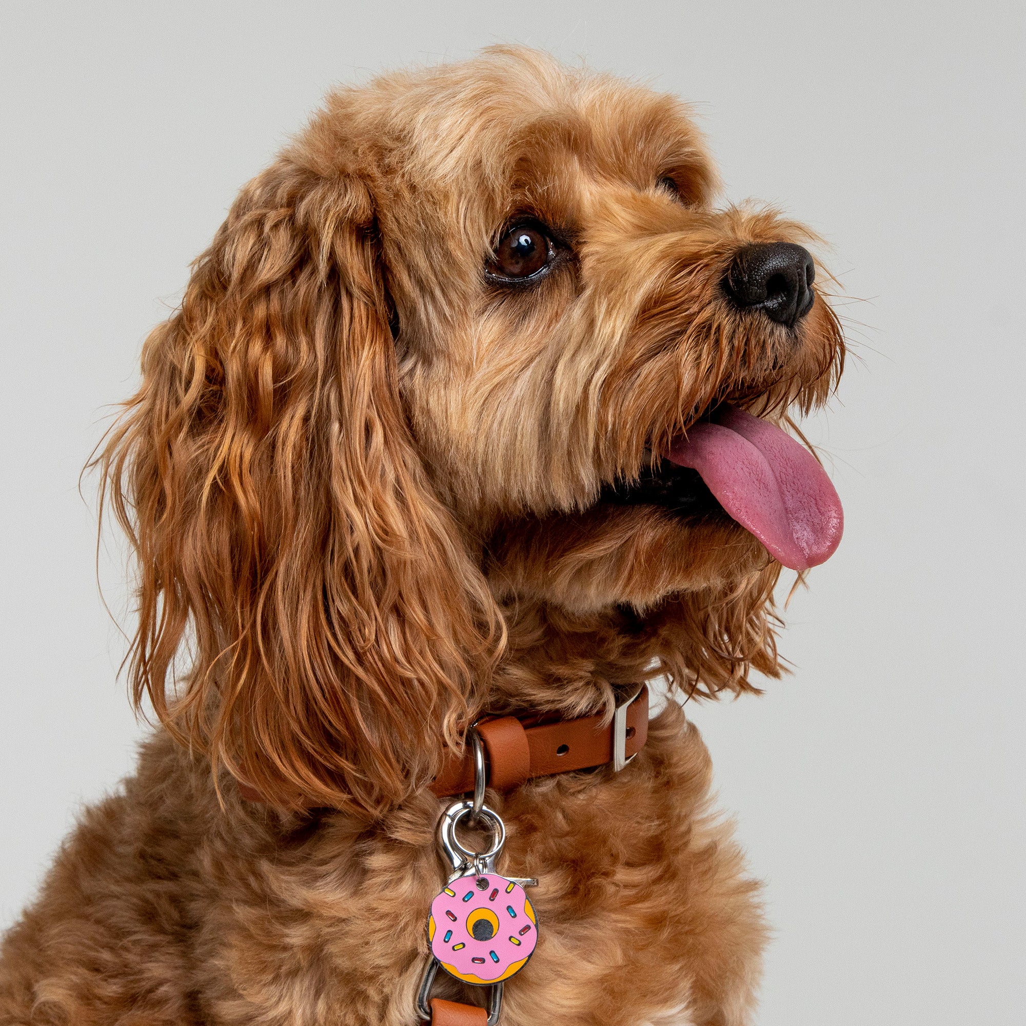 Donut Pet Tag