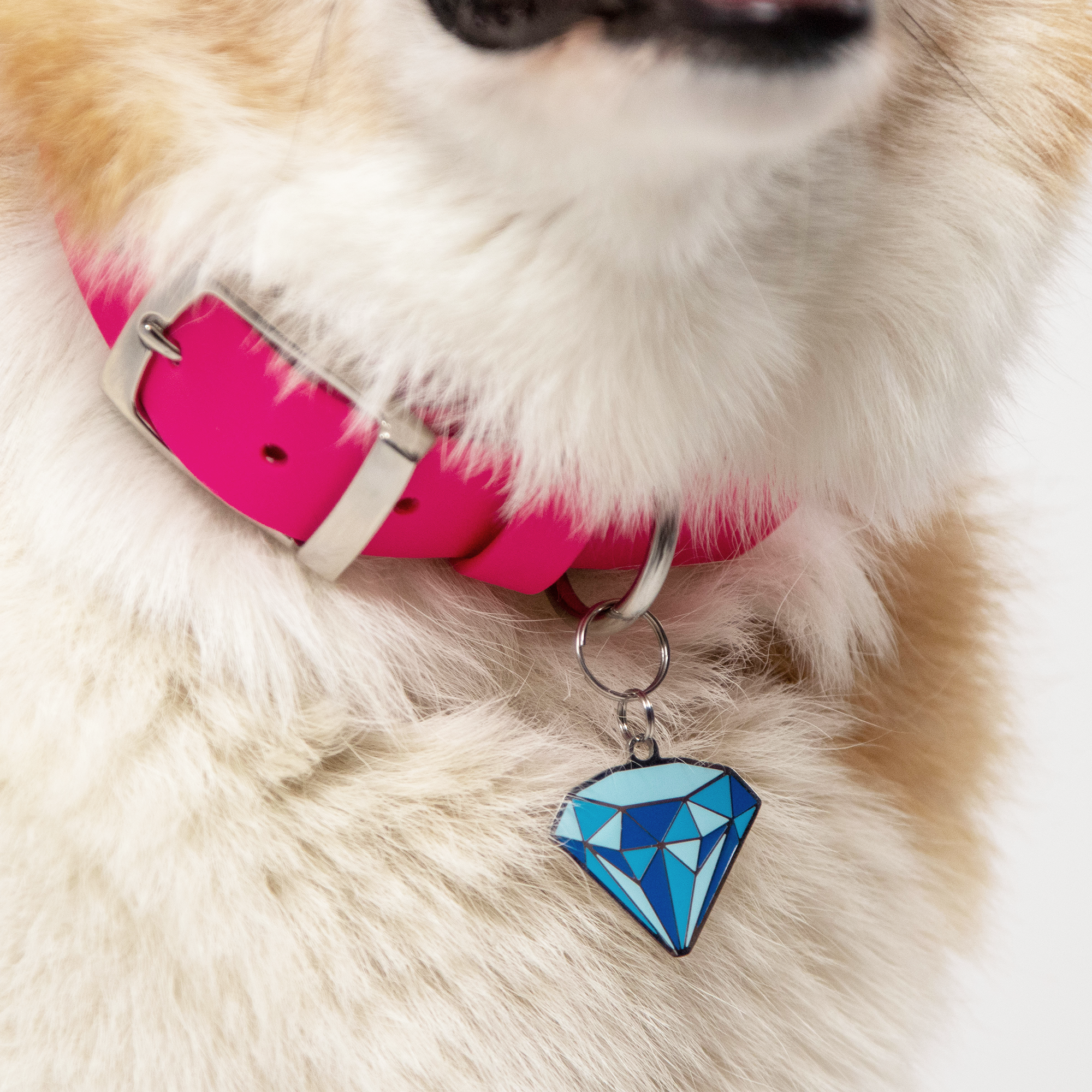 Diamond Pet Tag