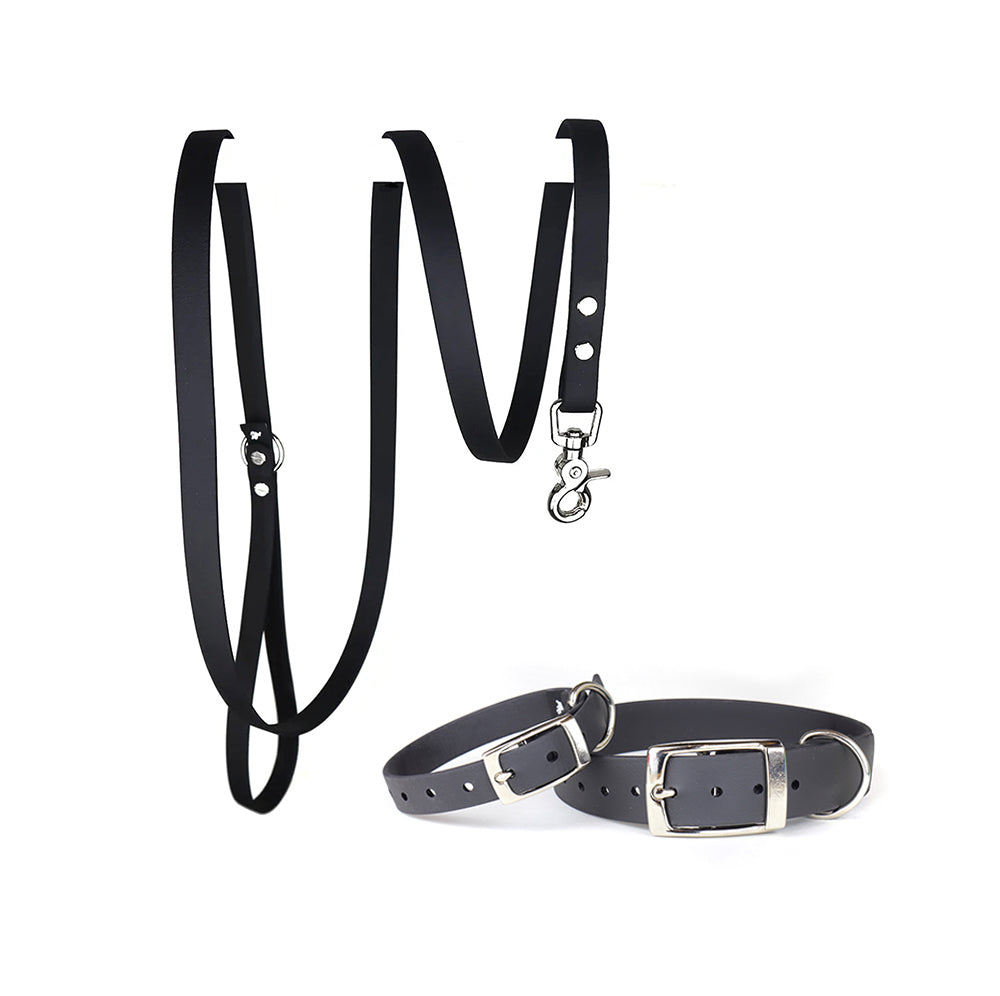 Waterproof Dog Collar & Lead Set in Black