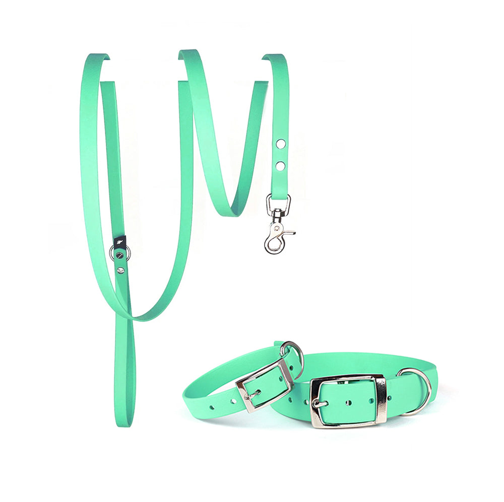 Waterproof Dog Collar & Lead Set in Mint Green