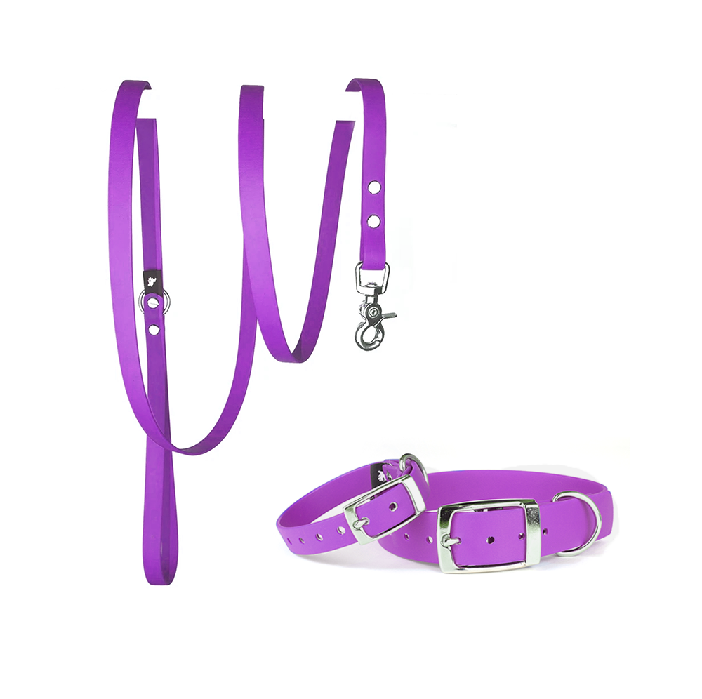 Waterproof Dog Collar & Lead Set in Purple