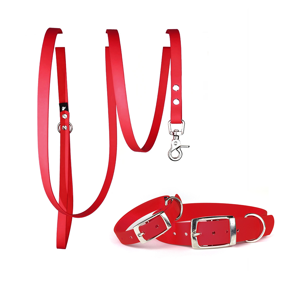 Waterproof Dog Collar & Lead Set in Red