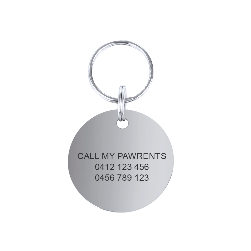 Large Round Personalised Pet Tag in Silver