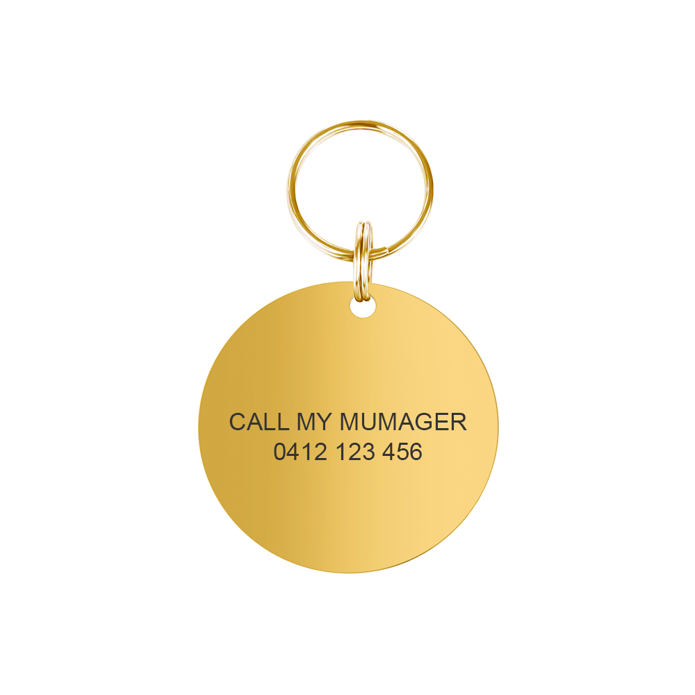 Large Round Personalised Pet Tag in Gold