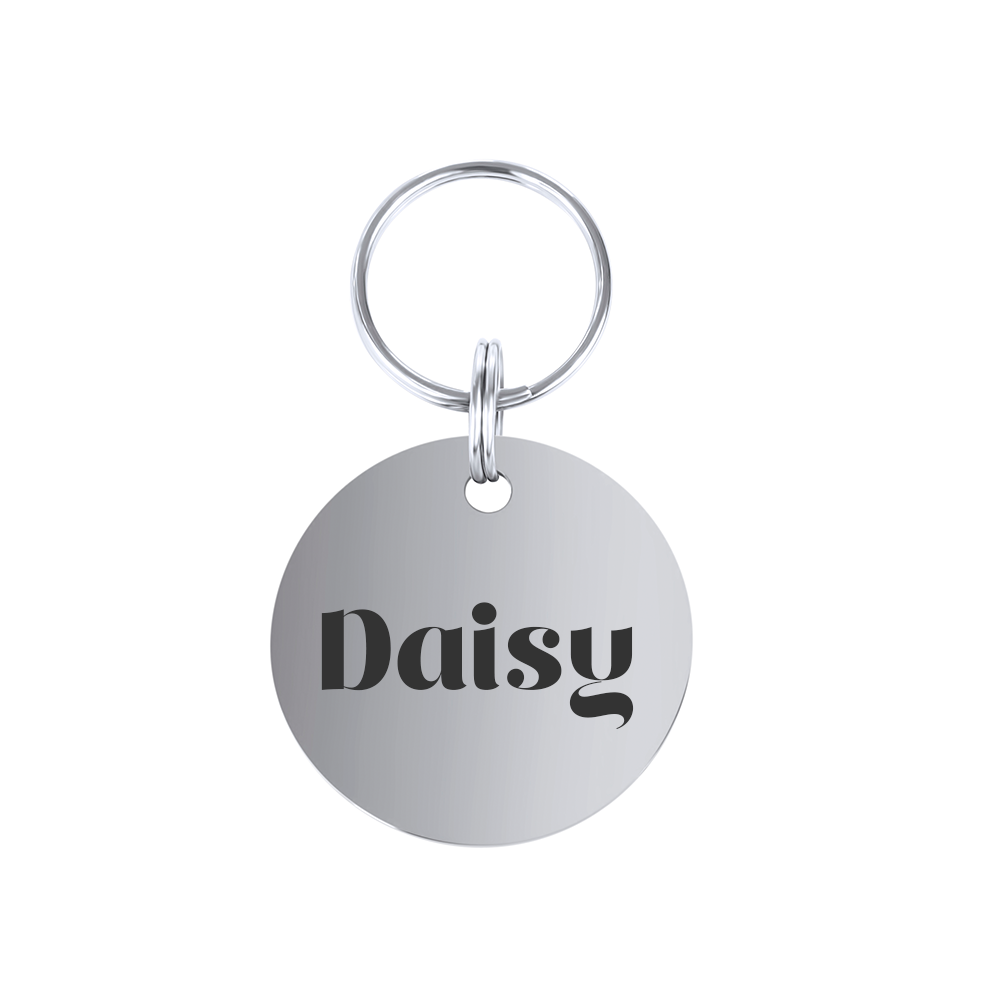 Large Round Personalised Pet Tag in Silver