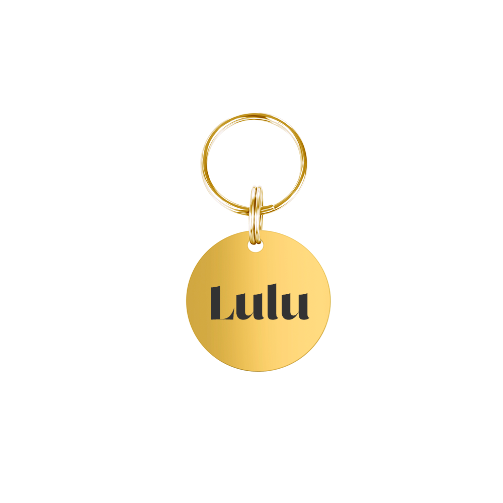 Small Round Personalised Pet Tag in Gold