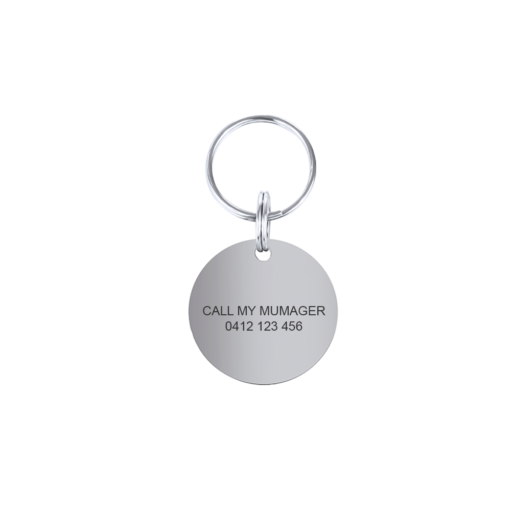 Small Round Personalised Pet Tag in Silver
