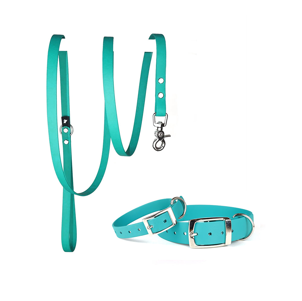 Waterproof Dog Collar & Lead Set in Teal